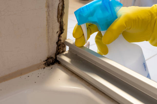 Best Professional Mold Removal  in Kingstowne, VA