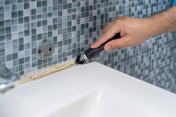 Best Mold Removal Company Near Me  in Kingstowne, VA