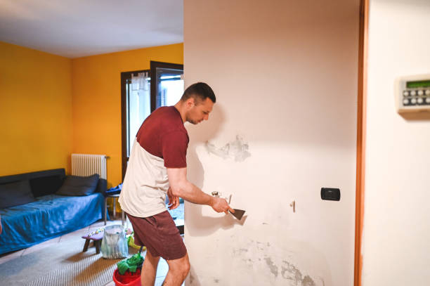 Certified Mold Removal in Kingstowne, VA